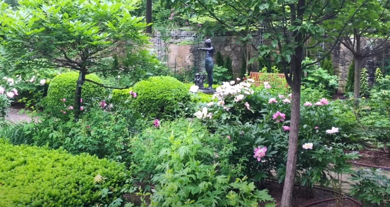 Tree & Shrub Care in Calexico, CA